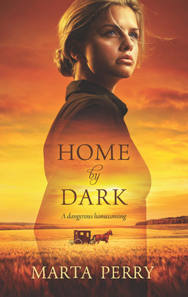 Title details for Home by Dark by Marta Perry - Wait list